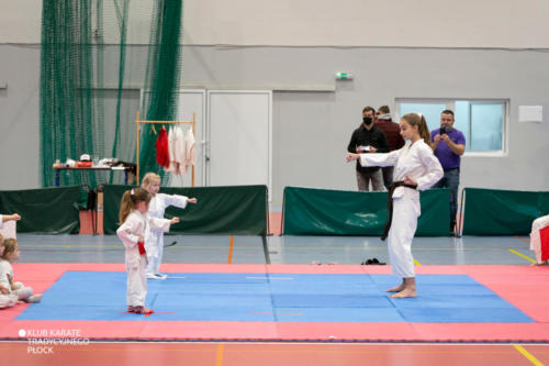 2E4A2210