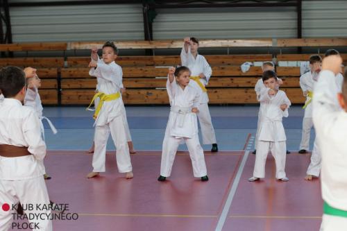 batch_IMG_7595