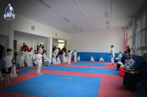 batch__DSC0447
